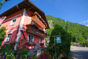 Haus Höll Herta Hallstatt